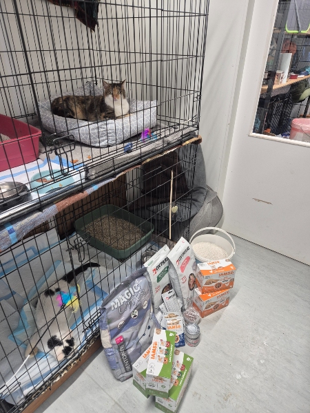 Lázeňské kočky z.s.